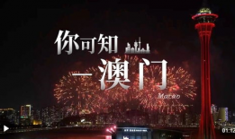 澳门视频,视频中的光影之旅